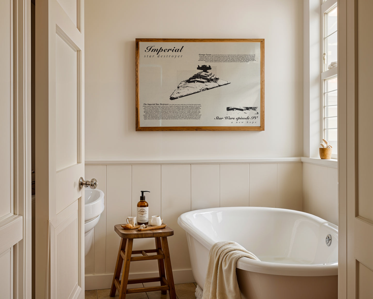 Star Wars Star Destroyer poster