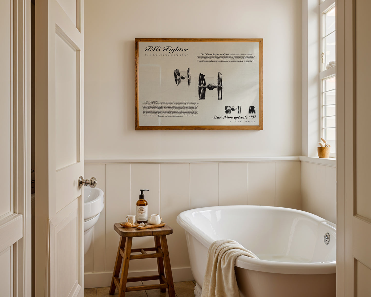 Star Wars TIE Fighter poster