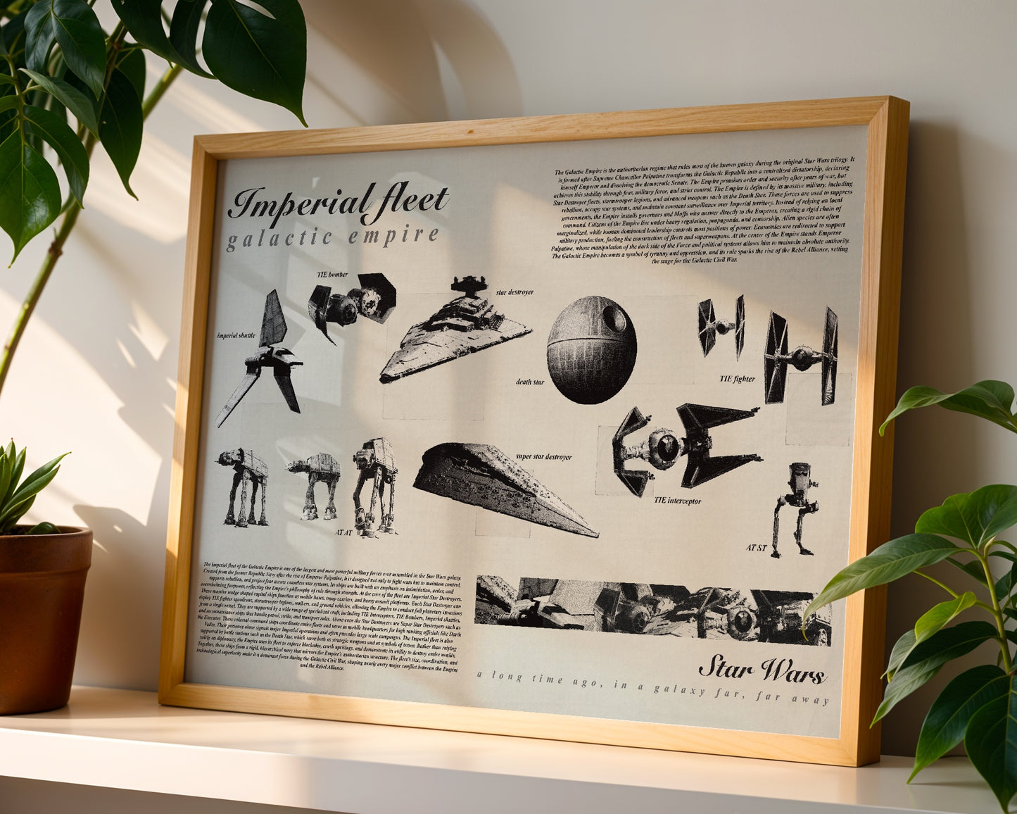 Star Wars Imperial Fleet poster