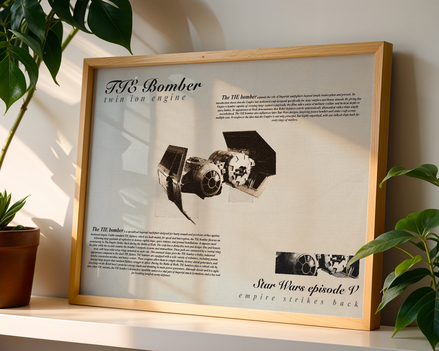 Star Wars TIE Bomber poster