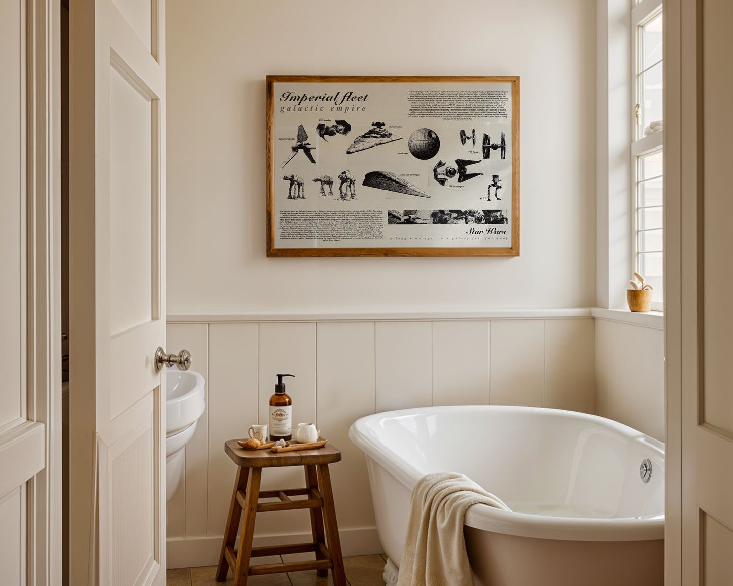 Star Wars Imperial Fleet poster