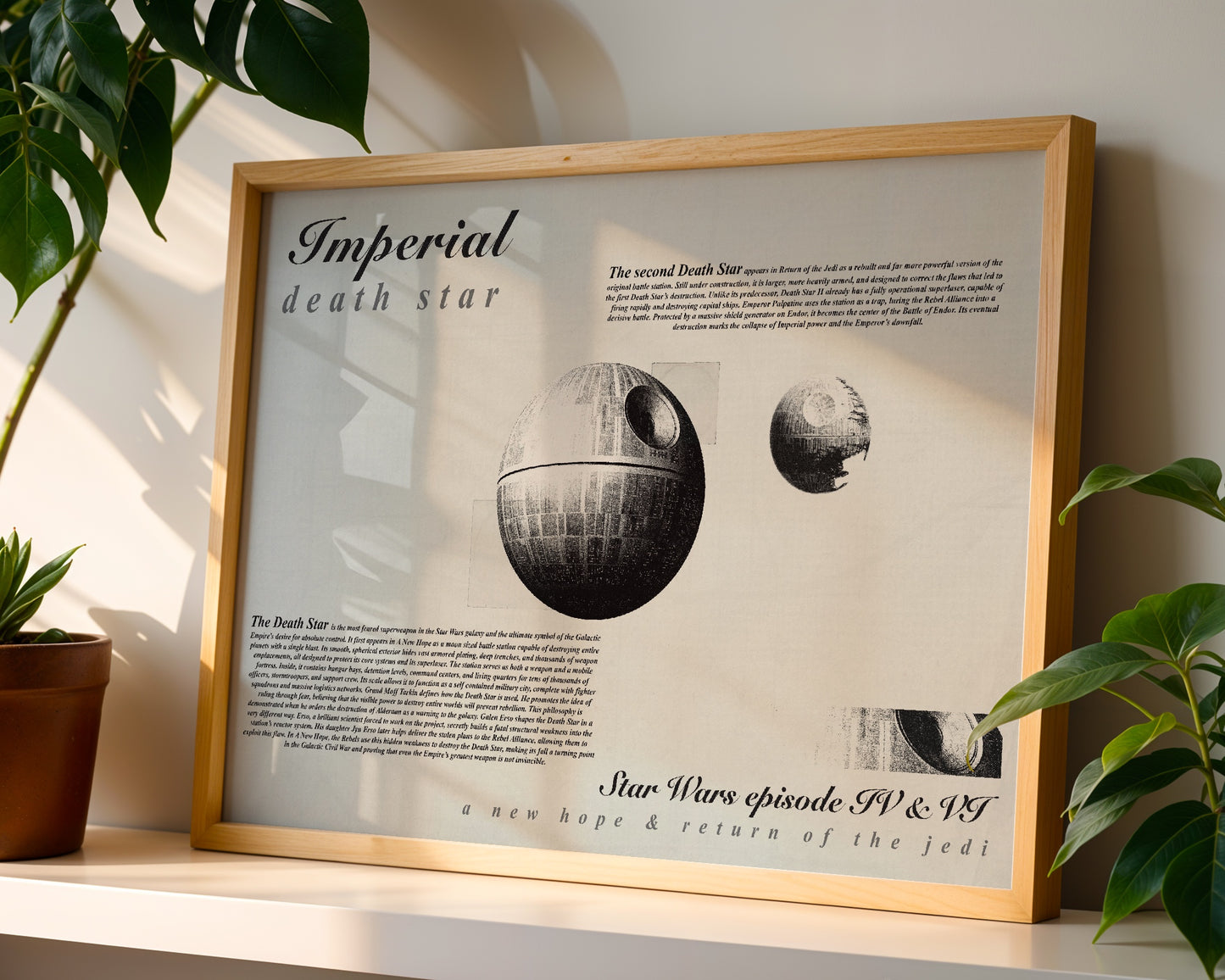 Star Wars Imperial Death Star poster